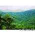 650 Blue Mist Way, Arden, NC - MLS 434957