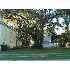 1019 12th St, Port Royal, SC - MLS 118921