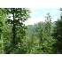 1855 Berry, Carthage, ME - MLS 904784