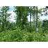 1856 Berry, Carthage, ME - MLS 904787