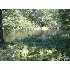 1858 Berry, Carthage, ME - MLS 905052