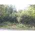 1879 Barksdale, Wilton, ME - MLS 908758