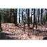 Lot 1A North Main Street, Sherborn, MA - MLS 70690379