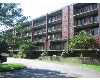 Click here to View Real Estate near 248-250 mansur street Lowell, MA 01852 homes near 248-250 mansur street Lowell, MA 01852