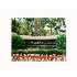 2674 Robert Trent Jones Dr, Orlando, FL - MLS o4901665