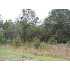 Lot 55 Birdie Circle, Ashburn, GA - MLS 116808