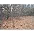 802 Clipper Court, New Bern, NC - MLS 71216