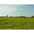 3992 S 900 East, Marion, IN - MLS 77054203