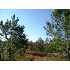 0 Countyline Rd, CORDELE, GA - MLS 51006