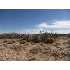 SVR Unit 1- Cobre Rd, Deming, NM - MLS 20105597
