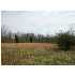 1555 MAPLE GROVE RD, BOONVILLE, IN - MLS 163711