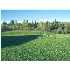 726 Main Road, Reed PLT, ME - MLS 926350