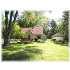 3842 VAN ATTA, OKEMOS, MI - MLS 188155