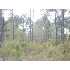 0 Brentwood Drive, Fitzgerald, GA - MLS 116920