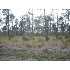 0 Brentwood Drive, Fitzgerald, GA - MLS 116904