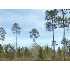 0 Brentwood Drive, Fitzgerald, GA - MLS 116905