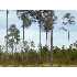0 Brentwood Drive, Fitzgerald, 0 - MLS 116906