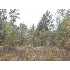 0 Brentwood Drive, Fitzgerald, GA - MLS 116921