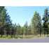 14233 Adams Circle, McCall, ID - MLS 422510