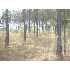 0 Brentwood Drive, Fitzgerald, GA - MLS 116927