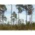 0 Brentwood Drive, Fitzgerald, GA - MLS 116930