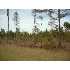 0 Brentwood Drive, Fitzgerald, GA - MLS 116932