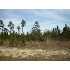 0 Brentwood Drive, Fitzgerald, GA - MLS 116933