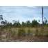 0 Brentwood Drive, Fitzgerald, GA - MLS 116935