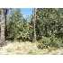 25 Solitude Trails Loop, Pine, AZ - MLS 58124