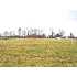 1529 U. S. Highway 60, Ledbetter, KY - MLS 50143