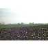 6922 MONTGOMERY CHURCH LOT #4, MERCERSBURG, PA - MLS FL6593327