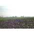 6922 MONTGOMERY CHURCH LOT #5 RD, MERCERSBURG, PA - MLS FL6957193