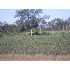 0 0 Sumner Rd., Sumner, GA - MLS 116958