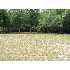 404 Shoreline Dr, Cedar Point, NC - MLS 09-1594