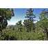 116 Firestar Lane, Pine, AZ - MLS 58195