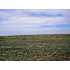 00 S Norwood Ave, Pueblo, CO - MLS 123366