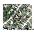 13396 MAUREEN AVE, Spring Hill, FL - MLS 2109139