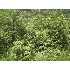 XXX Taylor Trail Rd, Hinckley, MN - MLS 3674933