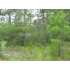 2301 Elkin St SW, Supply, NC - MLS 633321
