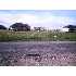 L3B1 Westwind Estates, Rigby, ID - MLS 154525