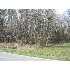 Ridge St, Albemarle, NC - MLS 62112