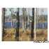 310 Castaway Drive, Merritt, NC - MLS 71840