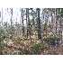 2000 Nichols, Farmington, ME - MLS 930629
