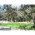 5 Haul Away, Hilton Head, SC - MLS 257728