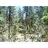 007M on Lufkin Rd. @ Strawberry Lan, Strawberry, AZ - MLS 58426
