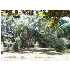 209 Linda Ave, Panama City, FL - MLS 394559