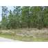 247 North Shore Dr, Southport, NC - MLS 635063