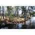 7755 NO FISH BAY RD, Saint Germain, WI - MLS 102555