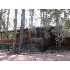 6516 W BRADSHAW DRIVE, Pine, AZ - MLS 58469