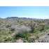 3412 N HIGLEY RD, Golden Valley, AZ - MLS 825721